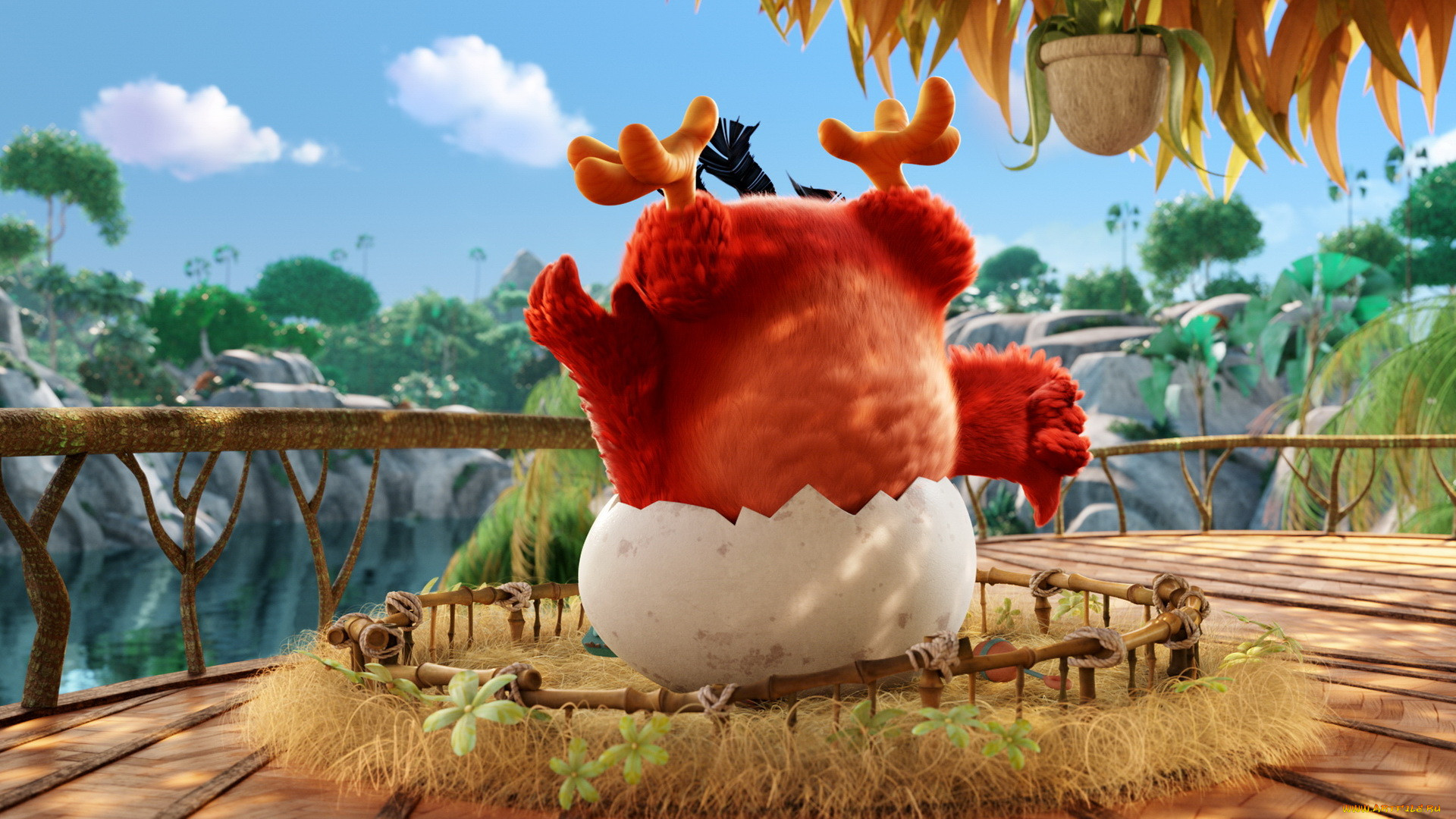 the angry birds movie, , 